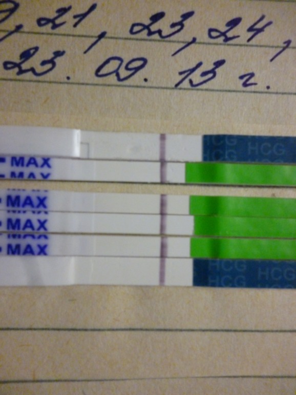 Вот так в прошлом месяце выглядела моя наверно БхБ.И в этом месяце имеем...