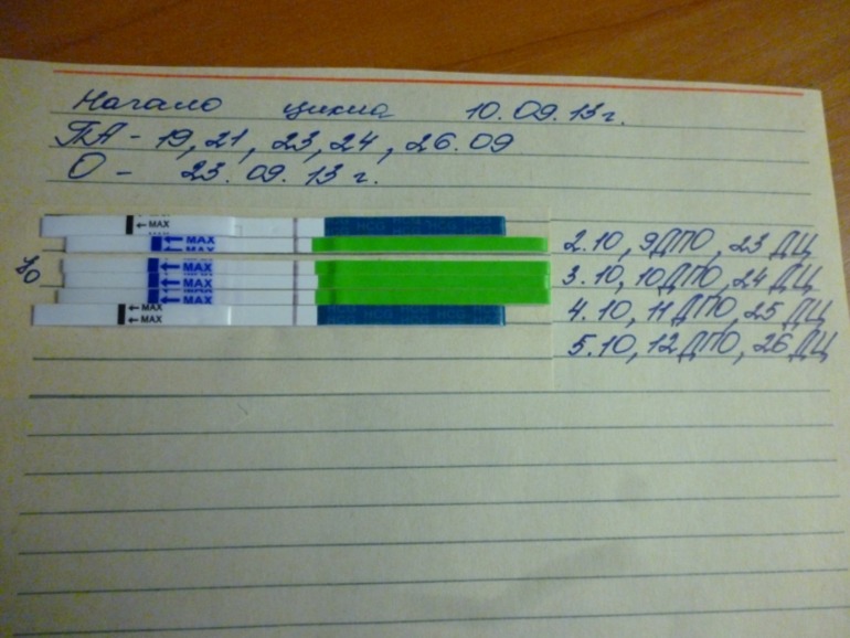 Вот так в прошлом месяце выглядела моя наверно БхБ.И в этом месяце имеем...