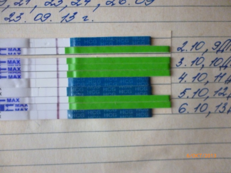 13 дпо как вам?