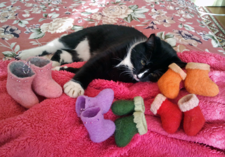 С чего всё начиналось...