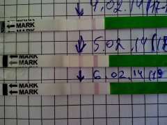 9013ccf76fe57fc74e027027c204bbbb.jpg
