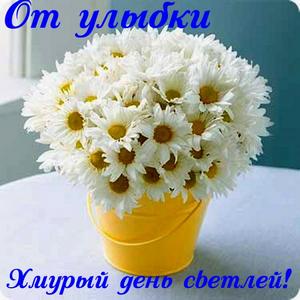 e840d8fe92a77c134535135ad7839698.jpg