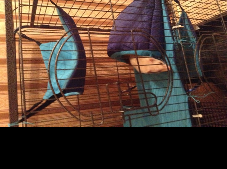 Во сколько оценить работу?