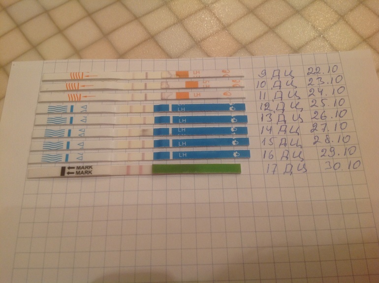 Как мы планируем ИИ, часть 3. Овуляция?