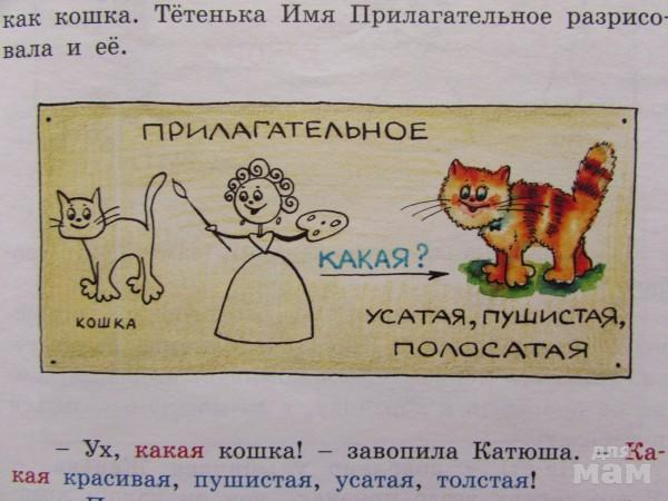 Имя существительное имя прилагательное картинки