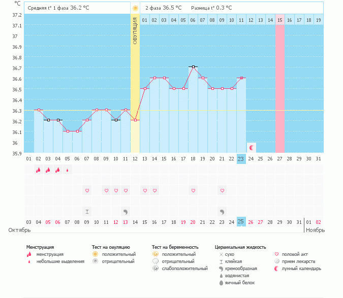 Девчоночки,оцените график!