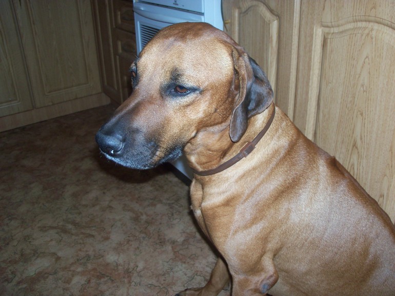 А вот и наше чудо