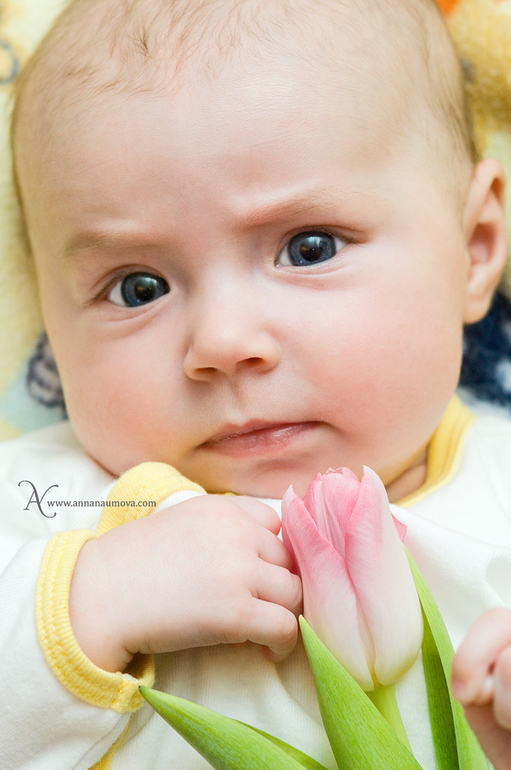 Тюльпан и Маша)