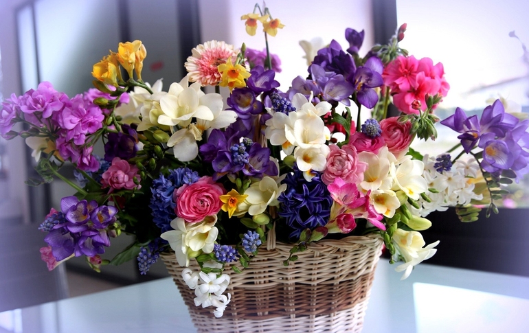 244f8bebfc4a7c8b331a6c0853187d13.jpg