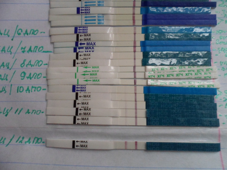 Не могу молчать!