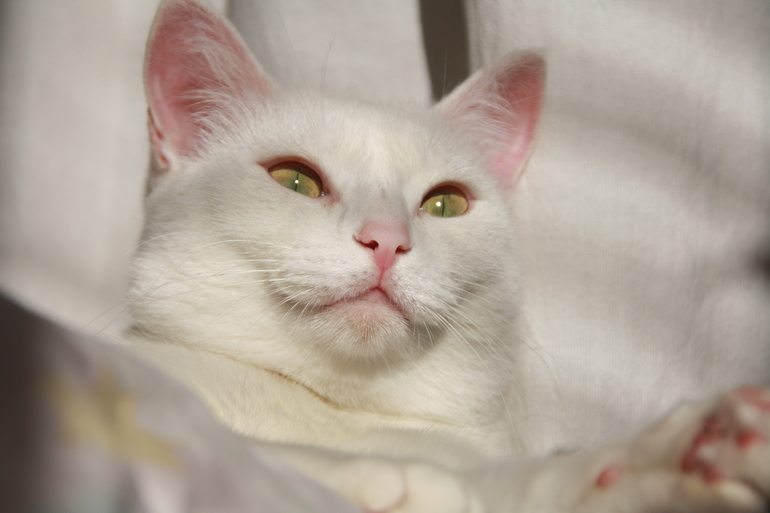 Радость солнышку =)