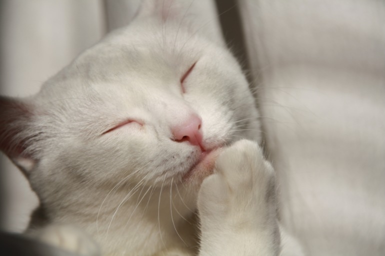 Радость солнышку =)