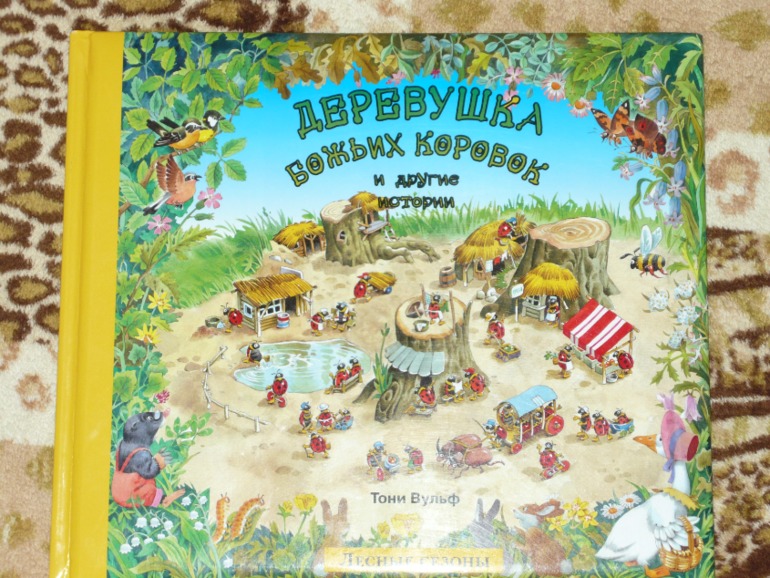 Книжки двух мальчишек