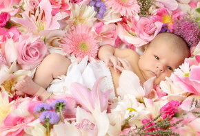 dc883f9c8a719f707b46156cb332dc37.jpg