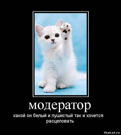 4dbe038eb97945b1ac21c06f7317c094.jpg
