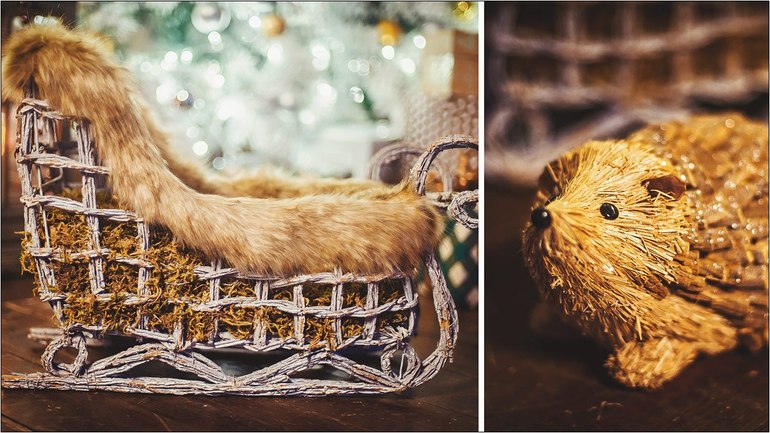 Фотопроект "Новогодняя сказка" - ОСВОБОДИЛОСЬ 1 место 23 ноября