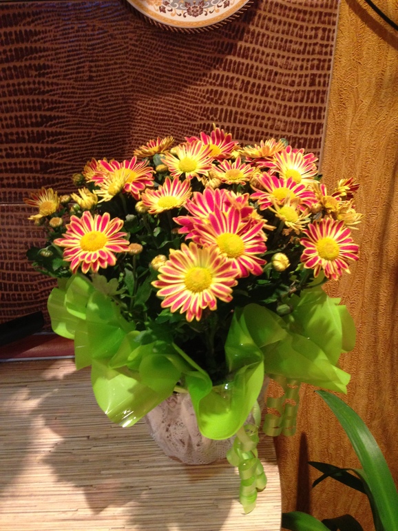 Покажу свои новые цветочки! Полюбуйтесь!