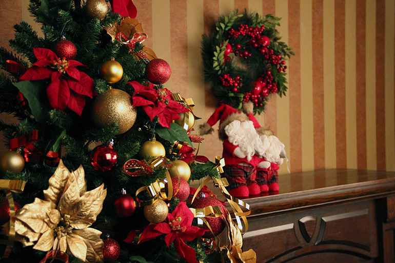 НОВОГОДНИЕ ФОТОСЕССИИ 14 декабря