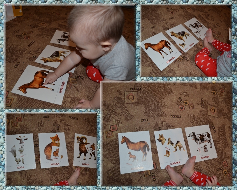 Занятия 12.11.13