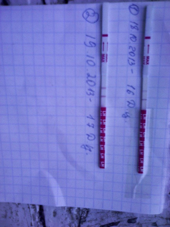 f5cf1d4e20adf32e144e72d82441f87d.jpg