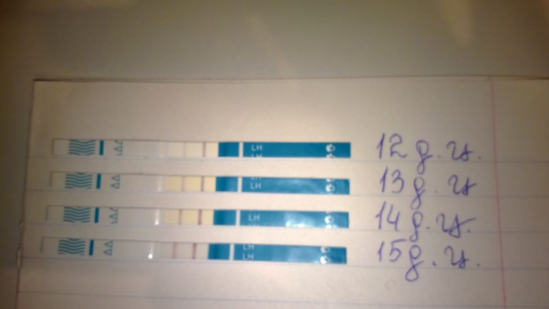 Мои  тесты на овуляцию.Оцените пожалуйста...