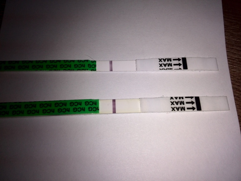 fcbaa3496e9dd1c5c9ae9165a7c46dcc.jpg