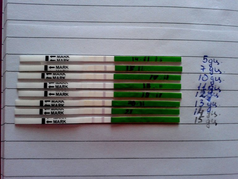 моя Овуляшечка