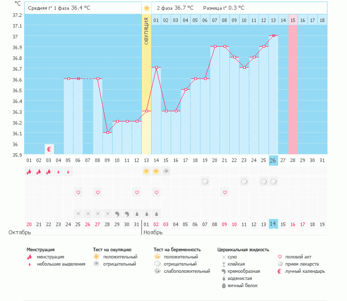 Девочки,что думаете?