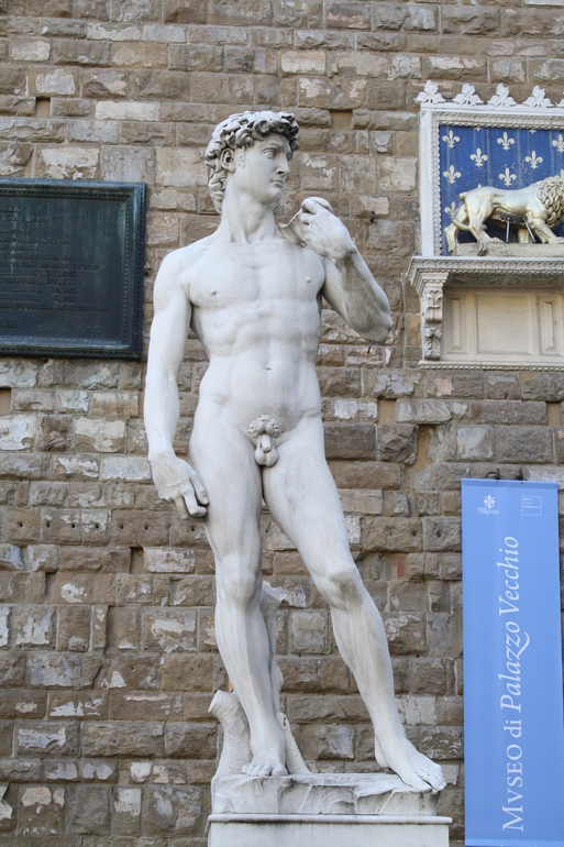 Италия. галопом по Европам. Сан-Марино, Римини, Рим, Тиволи, Неаполь-Помпеи, Сиена, Пиза, Флоренция, Венеция.