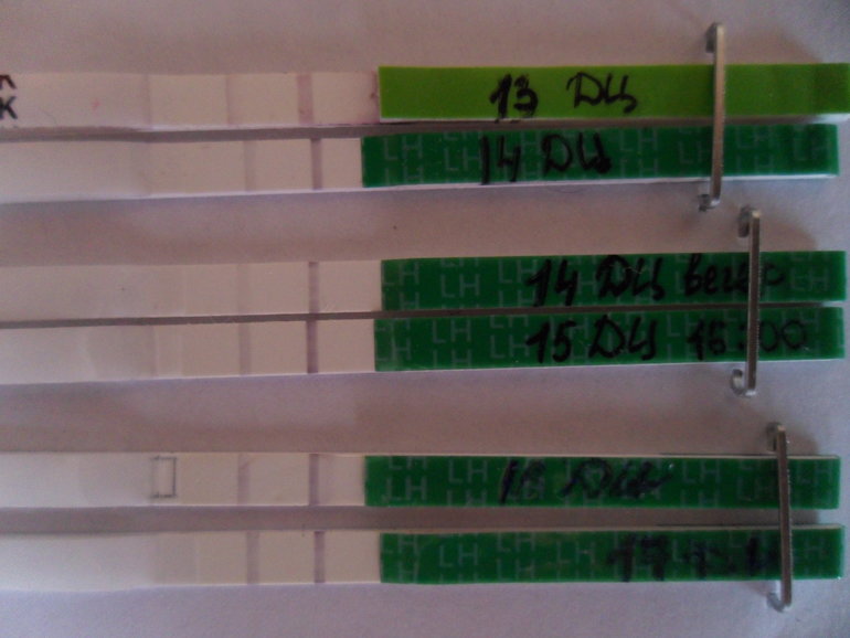 Помогите с овуляцией!!!!!!!!!!!!!