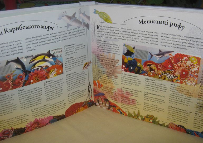 Наши книжки-картонки с сюрпризами