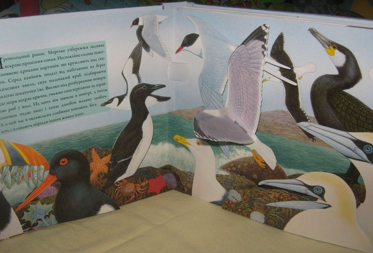 Наши книжки-картонки с сюрпризами