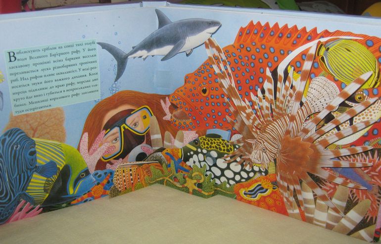 Наши книжки-картонки с сюрпризами