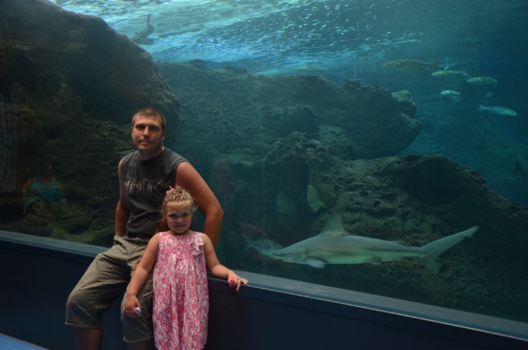 Aquis Zorbas Village и наши поездки по Криту. 2 часть