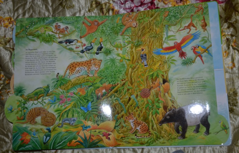 Wimmelbuch.Огромное количество фото