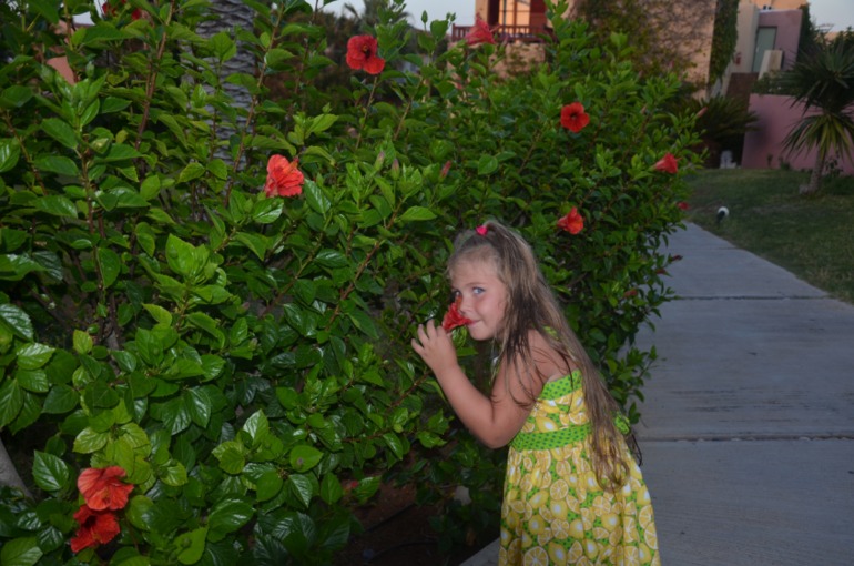 Aquis Zorbas Village и наши поездки по Криту. 2 часть