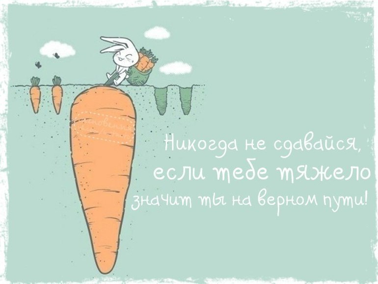 0b753c16bdb53b912aee6fe5dbc39193.jpg