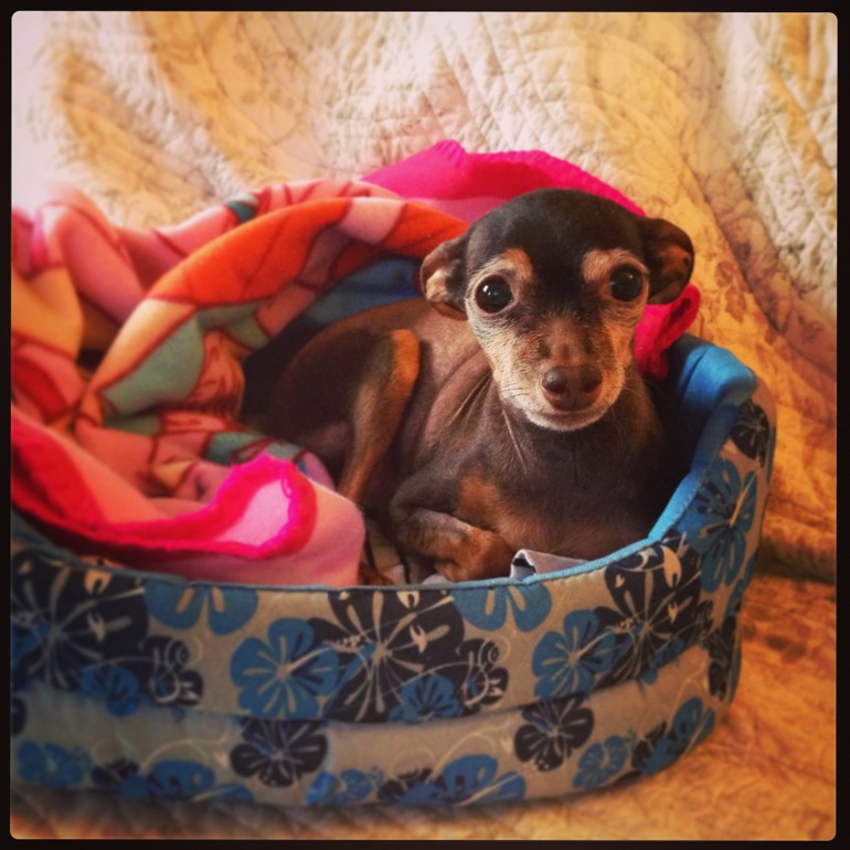 Печальный опыт