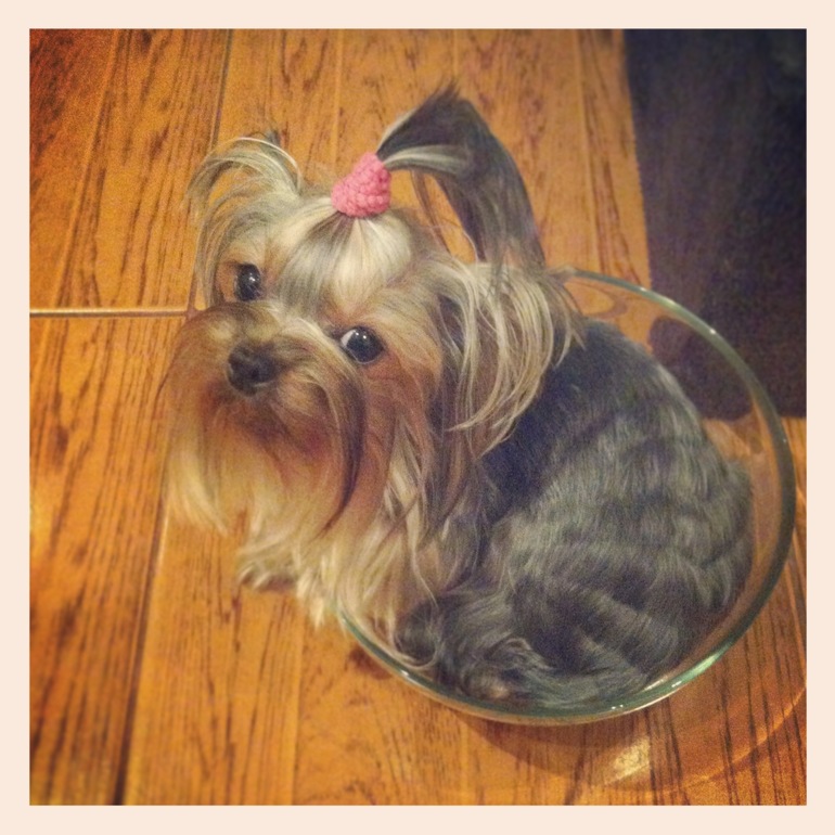 Мои малышка!)