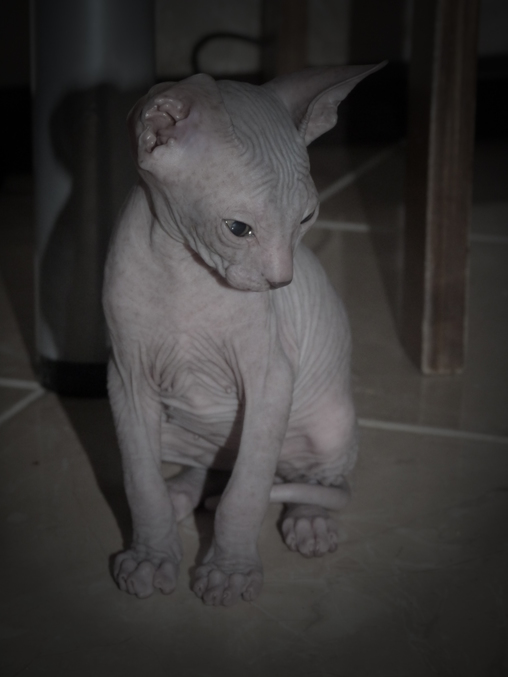 Наши малышастики!!!