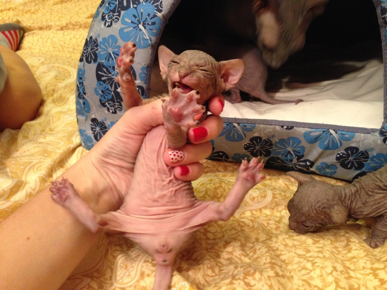 Мой дет.сад))))