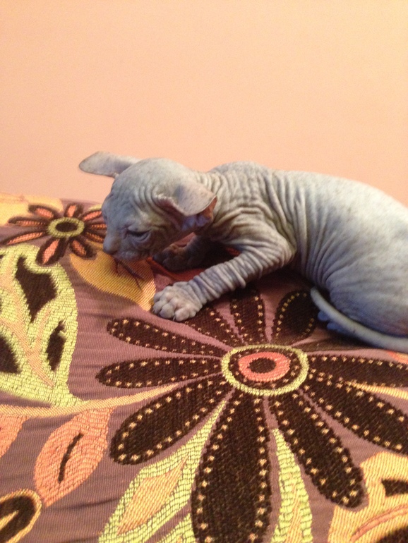 Наши малышастики!!!