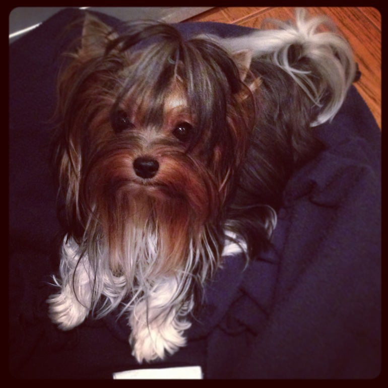 Вот она настоящая дружба!!!