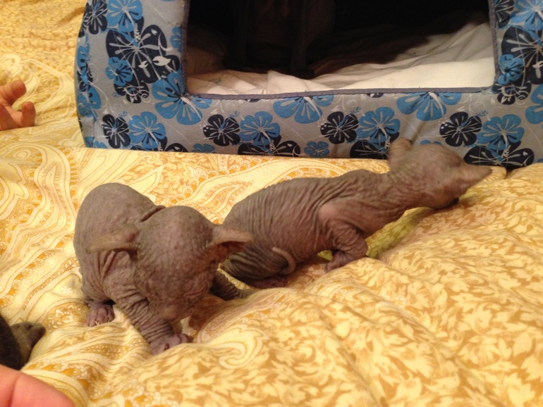 Мой дет.сад))))