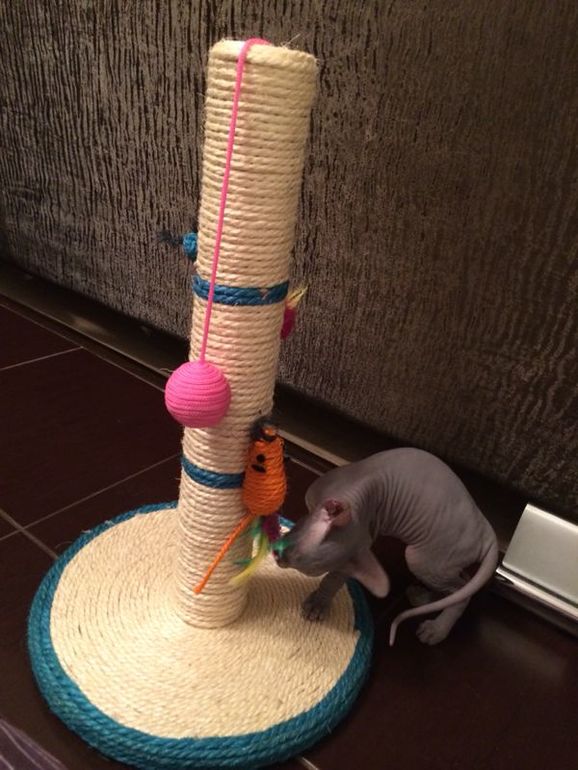 Про наших ушастых деток!)