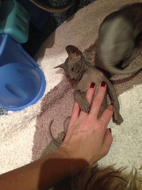 Наши малышастики!!!