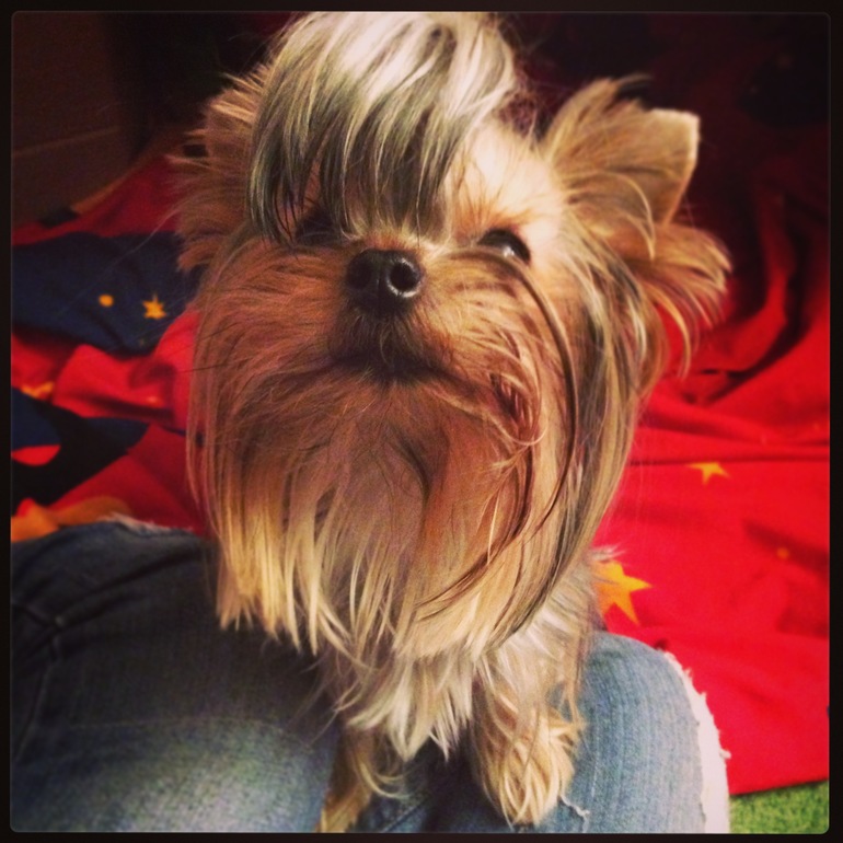 Вот она настоящая дружба!!!