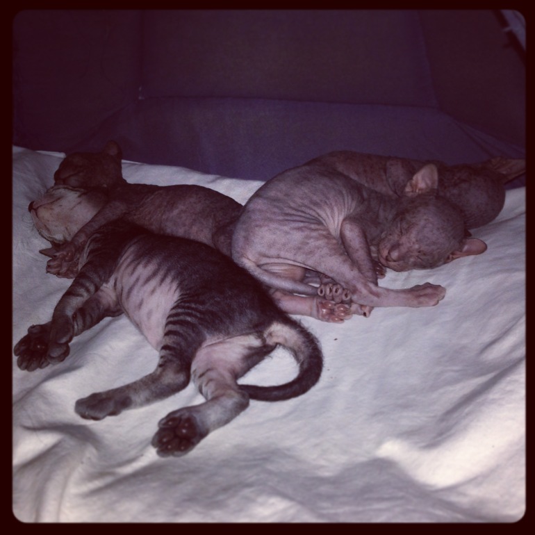 Мой дет.сад))))