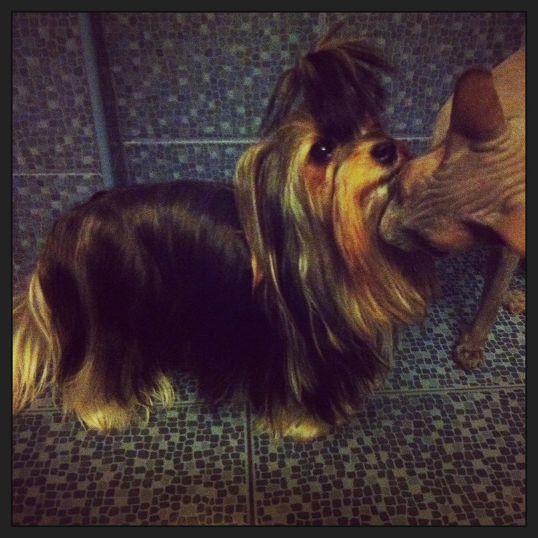 Мои малышка!)