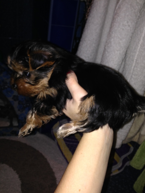 наш Котенок номер 5)))